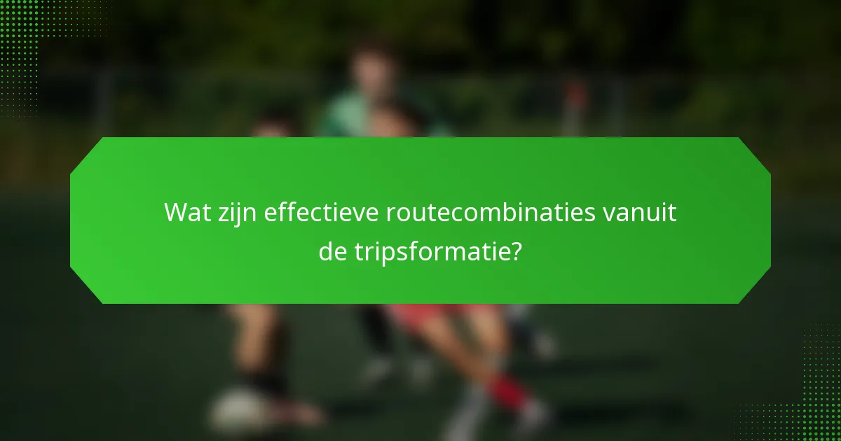 Wat zijn effectieve routecombinaties vanuit de tripsformatie?